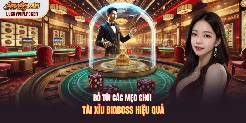 Bỏ túi các mẹo chơi tài xỉu bigboss hiệu quả