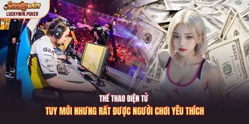 Thể thao điện tử tuy mới nhưng rất được người chơi yêu thích